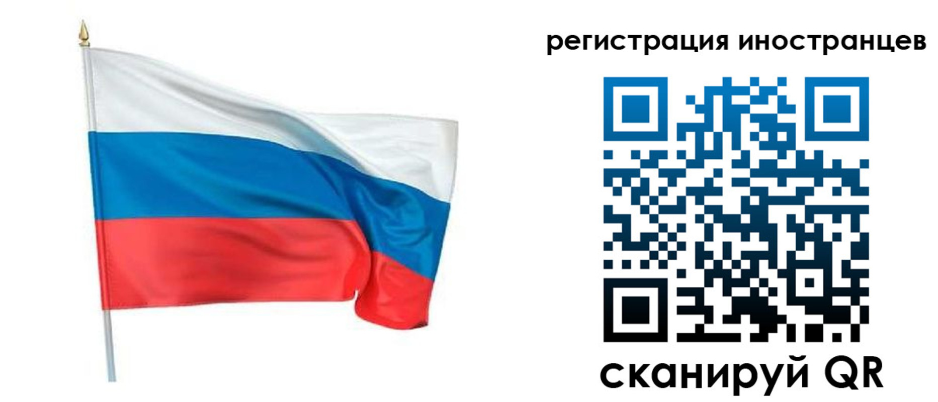 прописка 2025 в Зеленогорске